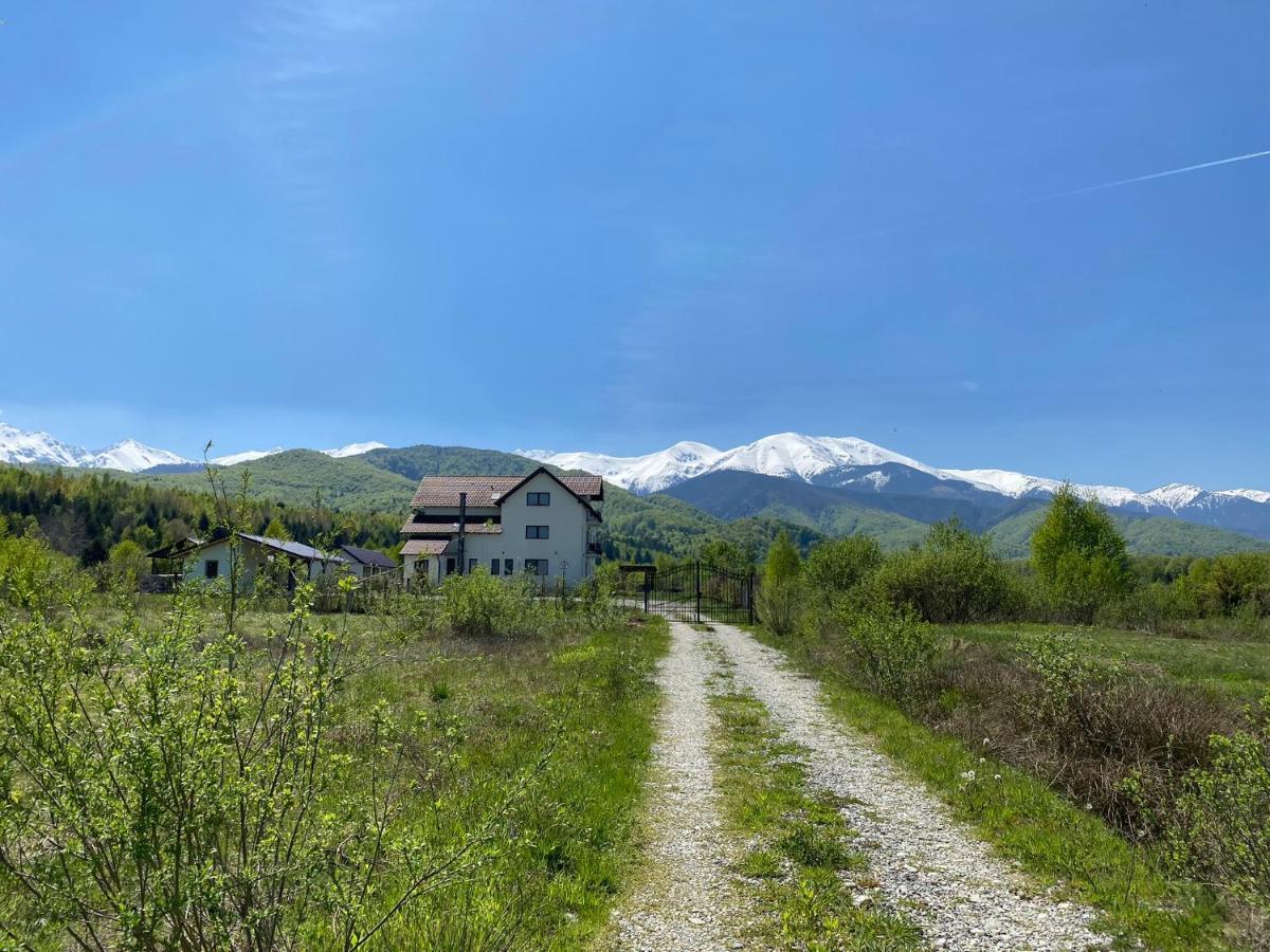 Pensiunea Ivoire Avrig Bagian luar foto